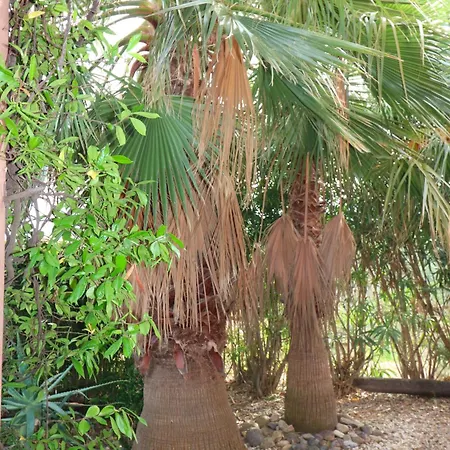 Maison 6 Personnes Saintflorent Saint-Florent