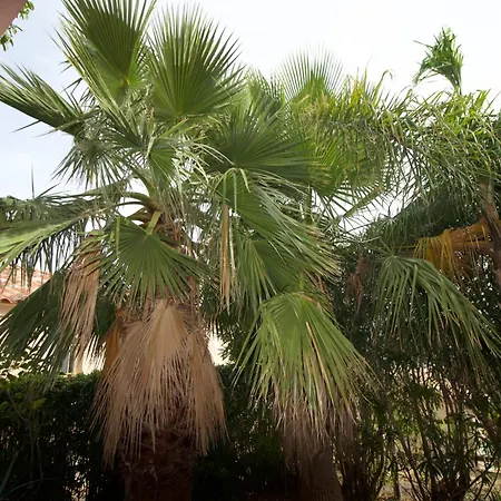 Maison 6 Personnes Saintflorent * Saint-Florent